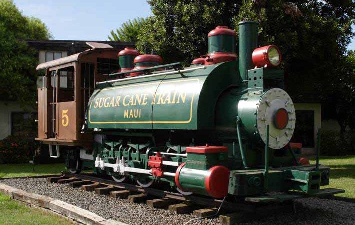 砂糖キビ列車/Sugar Cane Train