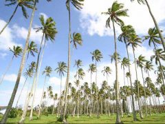 クヒオ・ハイウェイ ／Kuhio Hwy