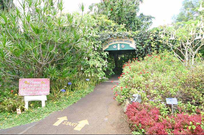 エンチャンティング フローラル ガーデン Enchanting Floral Gardens ハワイの最新情報をお届け Lanilani