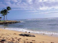 ポイプビーチ ／Poipu Beach