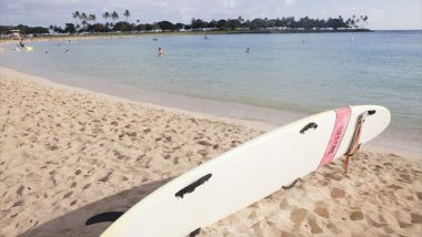 アラモアナ・ビーチ・パーク／Ala Moana Beach Park