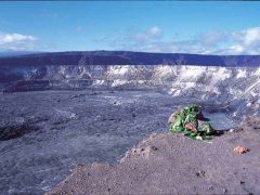 ハレマウマウ展望台／Halema'uma'u Overlook