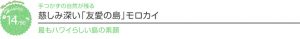 【ハワイを楽しむ50の方法】Vol.15 慈しみ深い「友愛の島」モロカイ