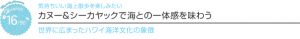 【ハワイを楽しむ50の方法】　Vol.16 　カヌー＆シーカヤックで海との一体感を味わう