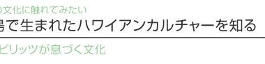 【ハワイを楽しむ50の方法】　Vol.17　常夏の島で生まれたハワイアンカルチャーを知る