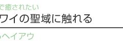 【ハワイを楽しむ50の方法】 Vol.25 栄華を極めたハワイの聖域に触れる