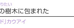 【ハワイを楽しむ50の方法】 Vol.30 あふれんばかりの樹木に包まれた「ガーデン・アイランド」カウアイ