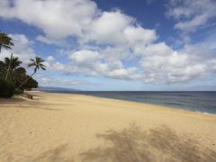 エフカイ・ビーチ／Ehukai Beach