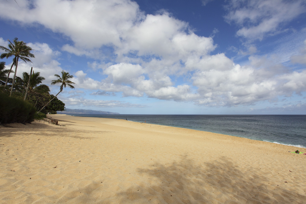 エフカイ・ビーチ／Ehukai Beach