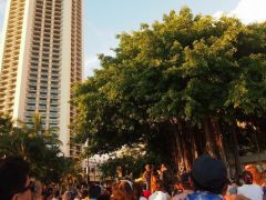 無料なのに本格的！クヒオビーチ・フラショー／Kuhio Beach Hula Show