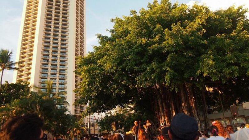 無料なのに本格的!クヒオビーチ・フラショー/Kuhio Beach Hula Show