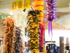 ナ・メア・ハワイ／Native Books/Na Mea Hawaii