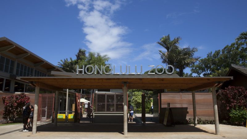 ホノルル動物園/Honolulu Zoo