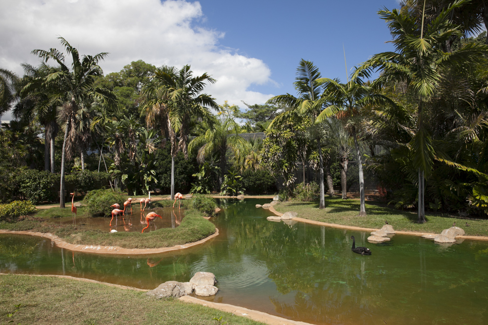 ホノルル動物園／Honolulu Zoo