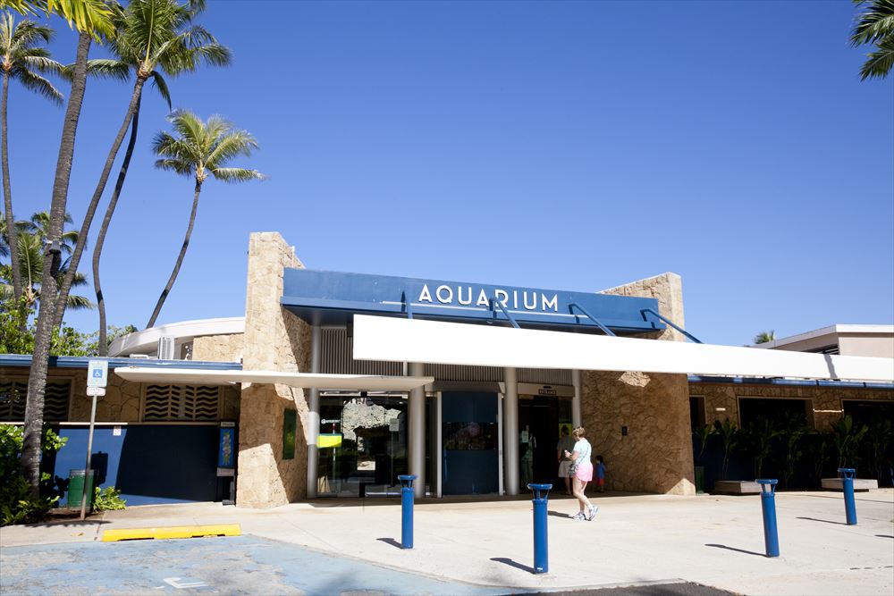 ワイキキ水族館／Waikiki Aquarium