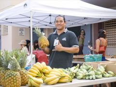ワイキキ・コミュニティーセンター・ファーマーズ・マーケット／Waikiki Community Center's Farmer's market