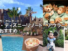 現地ブロガーがレポート！　ハワイ・ディズニーリゾート「アウラニ」のココがおすすめ