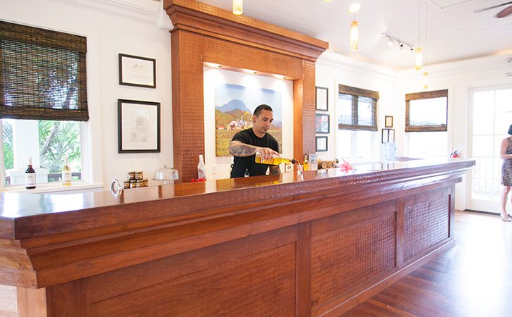 ネイバーアイランド特集 Vol.3 ガーデンアイランド、カウアイ島で大自然からエナジーチャージ（3/3）