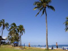 【人気ツアー特集】バスで行く！ノースショア半日観光