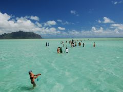 【人気ツアー】キャプテンブルース 天国の海®でハワイの大自然を満喫