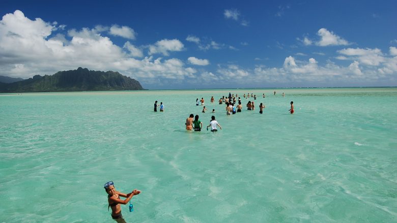 【人気ツアー】キャプテンブルース 天国の海®でハワイの大自然を満喫