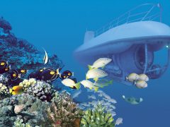 【人気ツアー特集】潜水艦でワイキキの海底を快適クルーズ