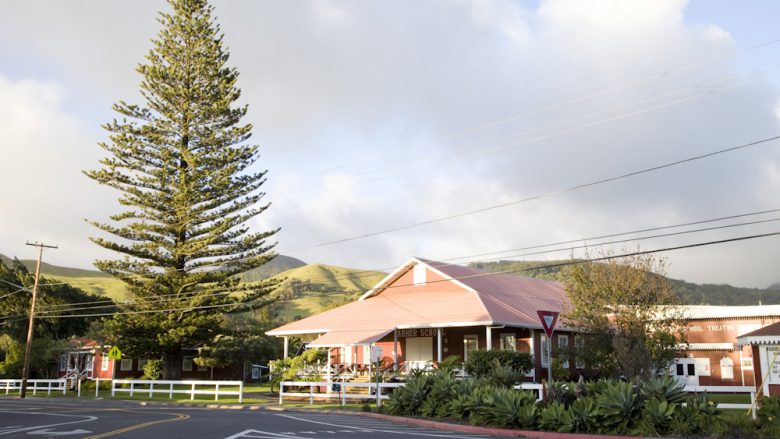 「ワイメア・バレー」で、ハワイの豊かな自然を堪能