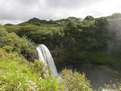 ワイルア滝でマイナスイオンを浴びリフレッシュ