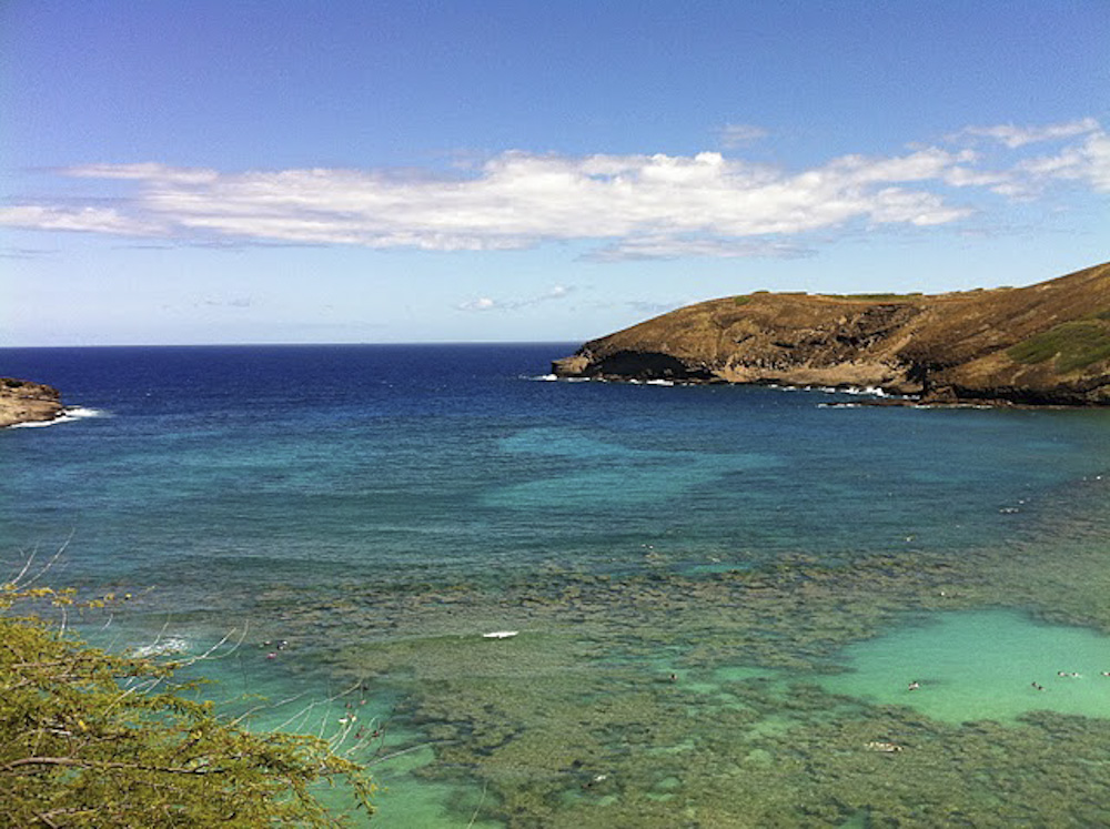 Hanauma Bay/ハナウマ湾