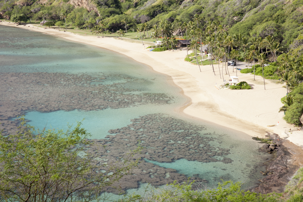 Hanauma Bay/ハナウマ湾