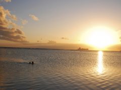 きらめく街の明かりはまるで光の宝石！ロマンチックな夜景が楽しめるスポット4選