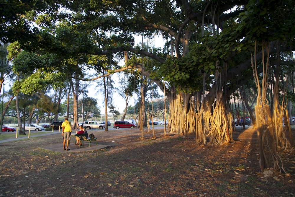 カピオラニ公園／Kapiolani Park