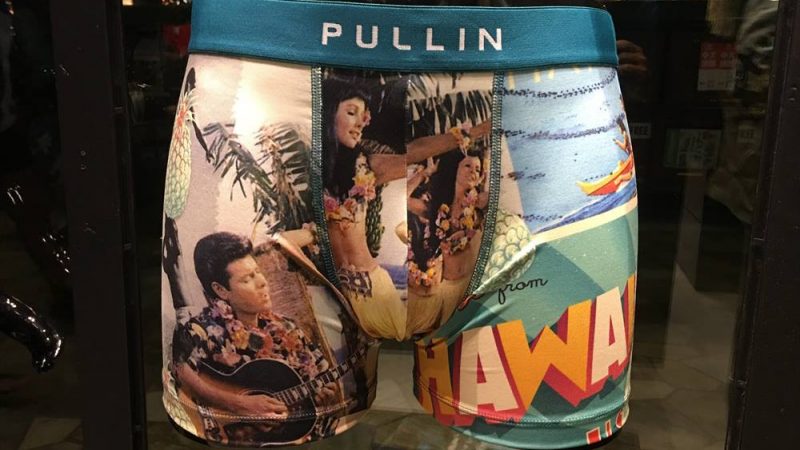 プル・イン/PuLLiN