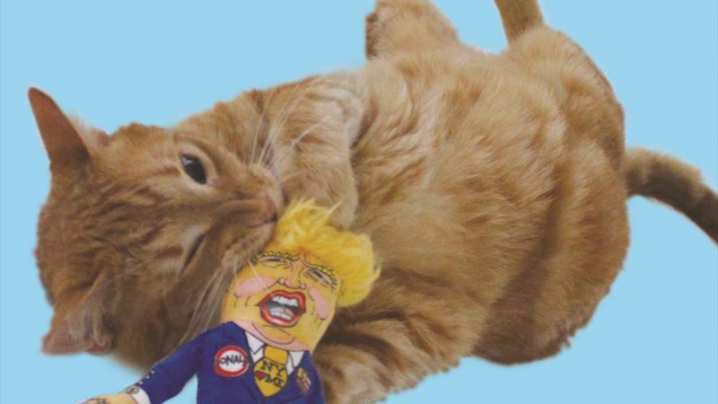 マイ・ペット・デザインズ/MY PET DESIGNS