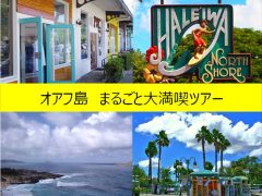 ブルーウェーブツアー／Blue Wave Tour, Inc.