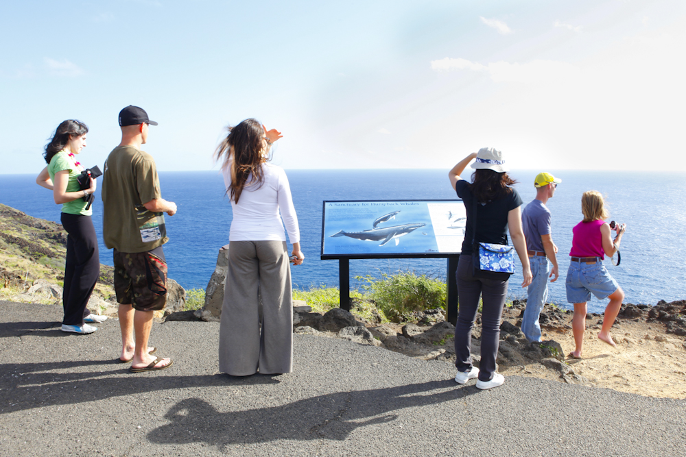 マカプウ岬／Makapuu Pt.