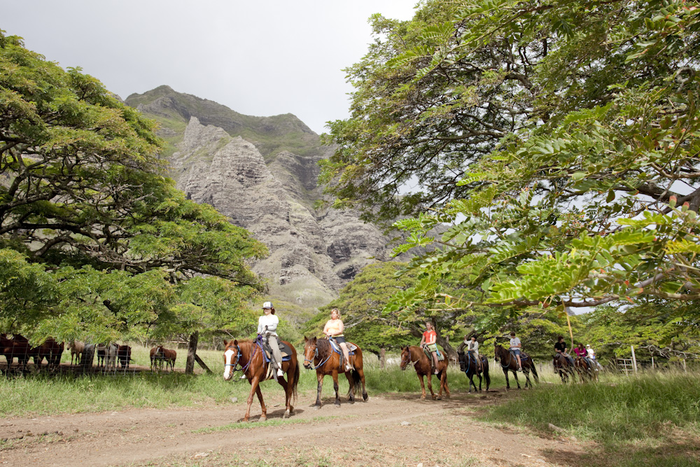 クアロア・ランチ／Kualoa Ranch