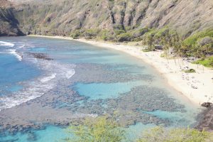 ワイキキトロリーブルーラインでオアフの西海岸をドライブしよう