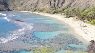 ワイキキトロリーブルーラインでオアフの西海岸をドライブしよう