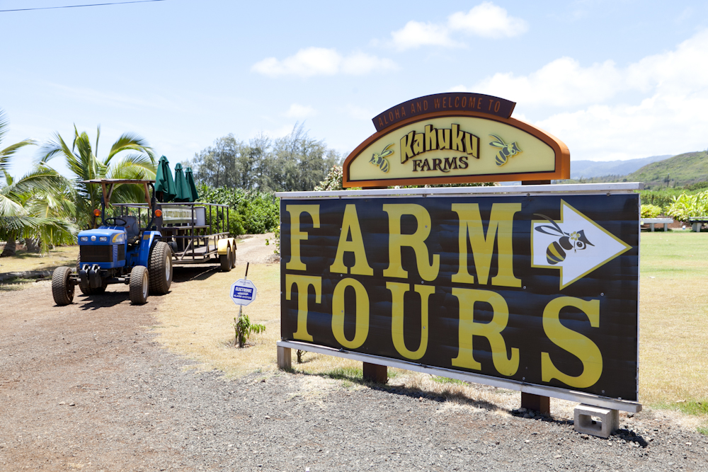 カフク・ファーム／Kahuku farms