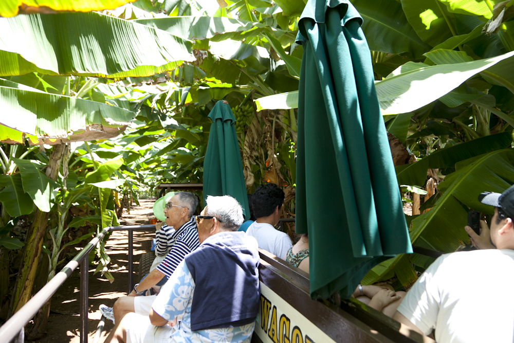 カフク・ファーム／Kahuku farms