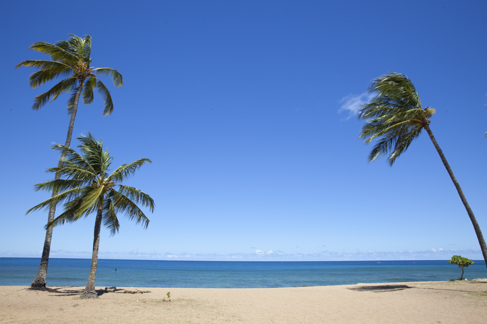 ハレイワ・アリイ・ビーチパーク／Haleiwa Alii Beach Park