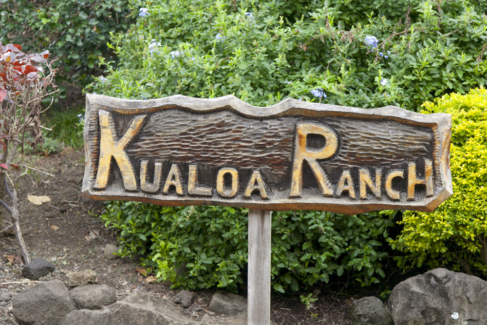 クアロア・ランチ／Kualoa Ranch