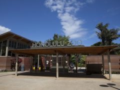 ハワイで唯一の動物園「ホノルル動物園／Honolulu Zoo」が値上げを検討