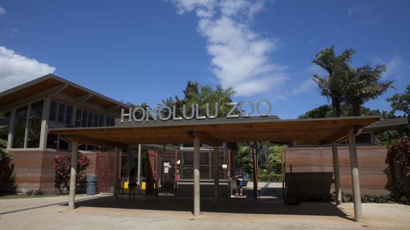 ハワイで唯一の動物園「ホノルル動物園／Honolulu Zoo」が値上げを検討