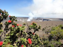 【ハワイ神話】怒らせたら怖い？！火山の女神ペレ