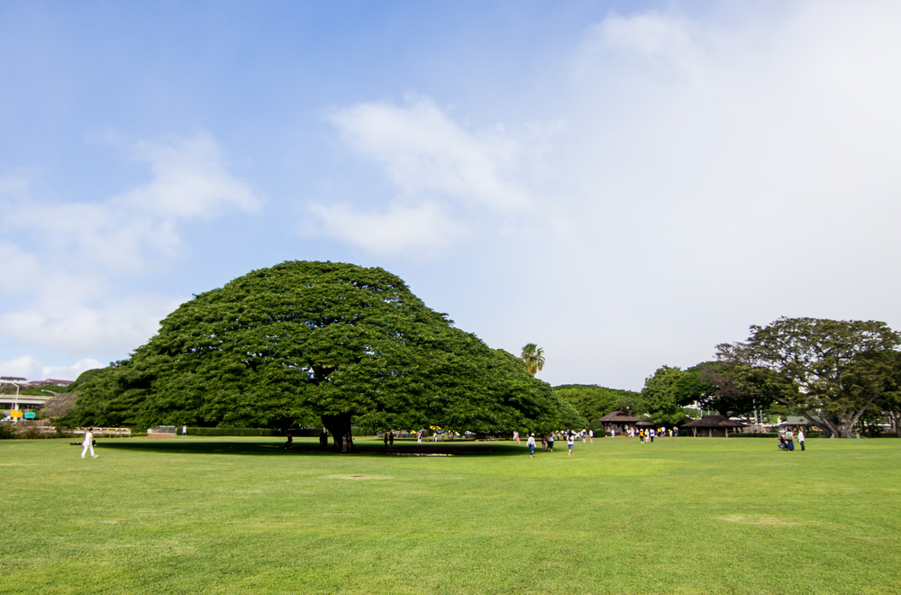 モアナルア・ガーデン・パーク／Moanalua Garden Park