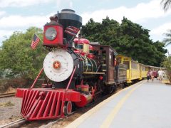 プランテーション時代のハワイを感じる「鉄道」に乗れるスポット