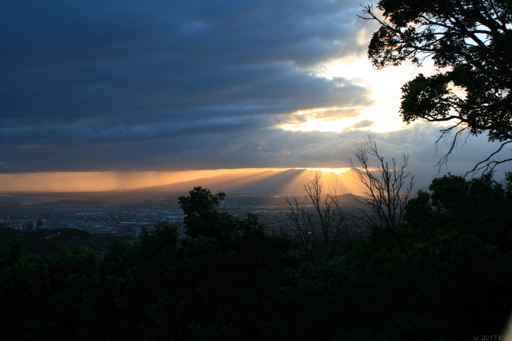 タンタラスの丘／Tantalus Lookout