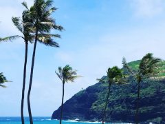 HAWAIIでキレイになる！リーズナブルに体験できる”美活”をご提案